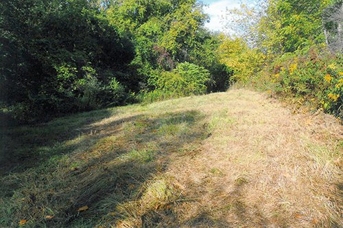 Looking West along North Property Line - REAL ESTATE AUCTION, 5.1 Acre Building Site, Sealed Bid Auction